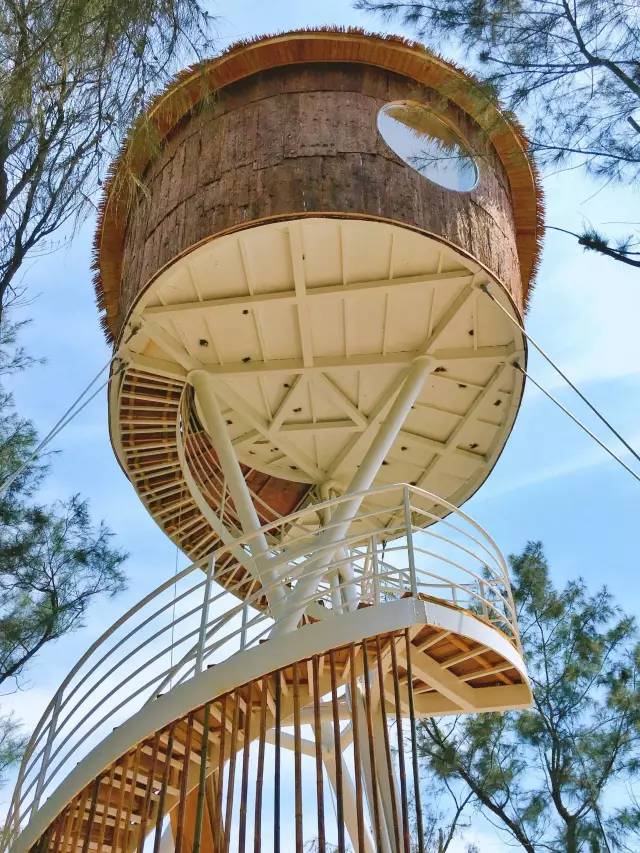 翡翠灣，在遼闊的海洋前做回?zé)o憂快樂的自我