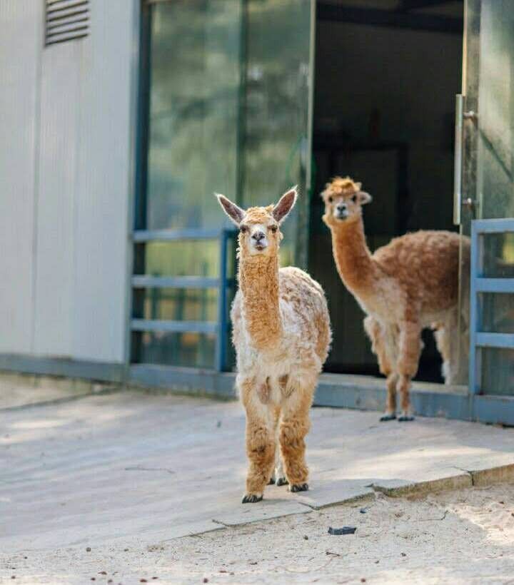 翡翠灣，在遼闊的海洋前做回?zé)o憂快樂的自我