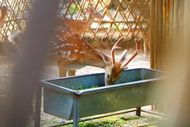 翡翠灣，在遼闊的海洋前做回?zé)o憂快樂的自我