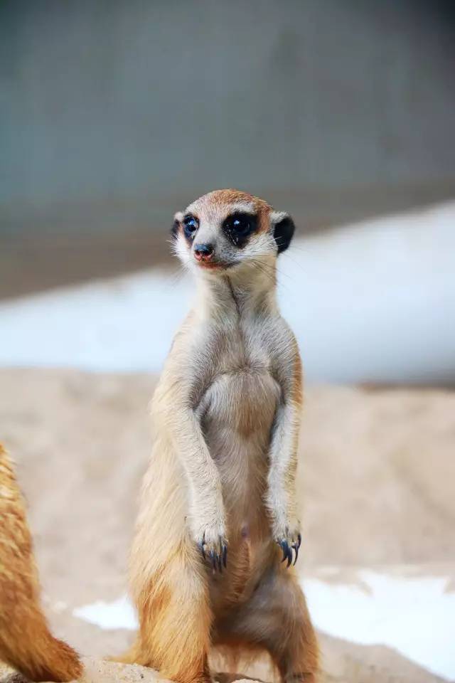 翡翠灣，在遼闊的海洋前做回?zé)o憂快樂的自我