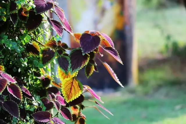 翡翠灣，在遼闊的海洋前做回?zé)o憂快樂的自我