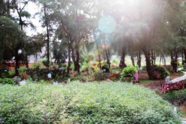 翡翠灣，在遼闊的海洋前做回?zé)o憂快樂的自我