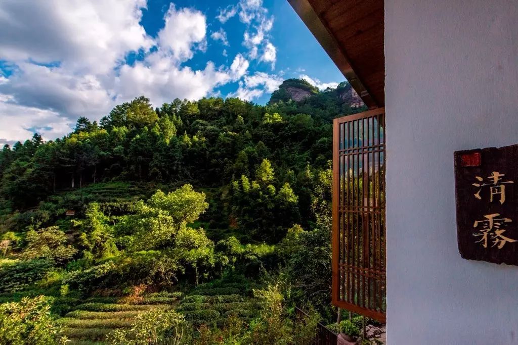 叢山茶境，一片天一座山忘了山外忘卻自己