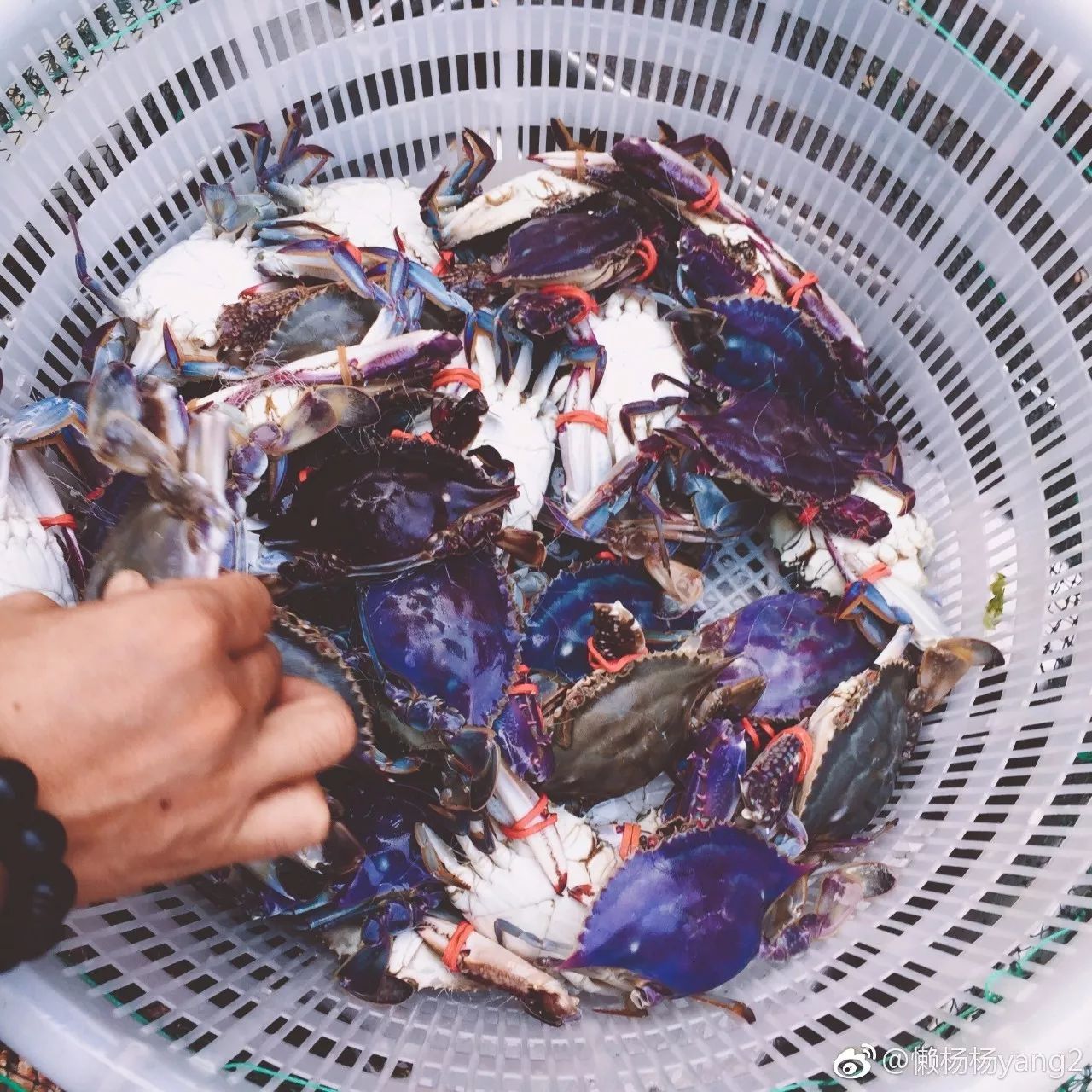 樸宿·微瀾山居，空山鳥語就在身畔