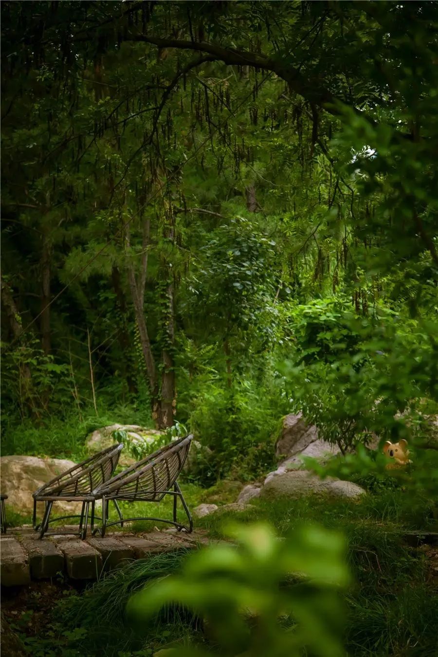 樸宿·微瀾山居，空山鳥語就在身畔