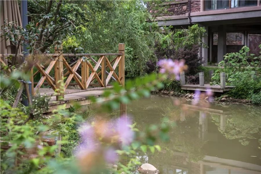 武夷山·山玖如意莊，一杯清茶一萬個(gè)品茶人