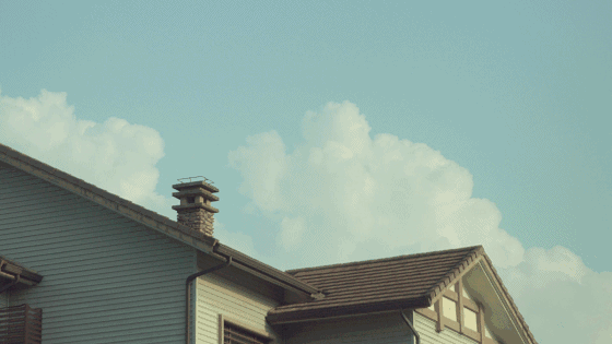 武夷山·山玖如意莊，一杯清茶一萬個(gè)品茶人