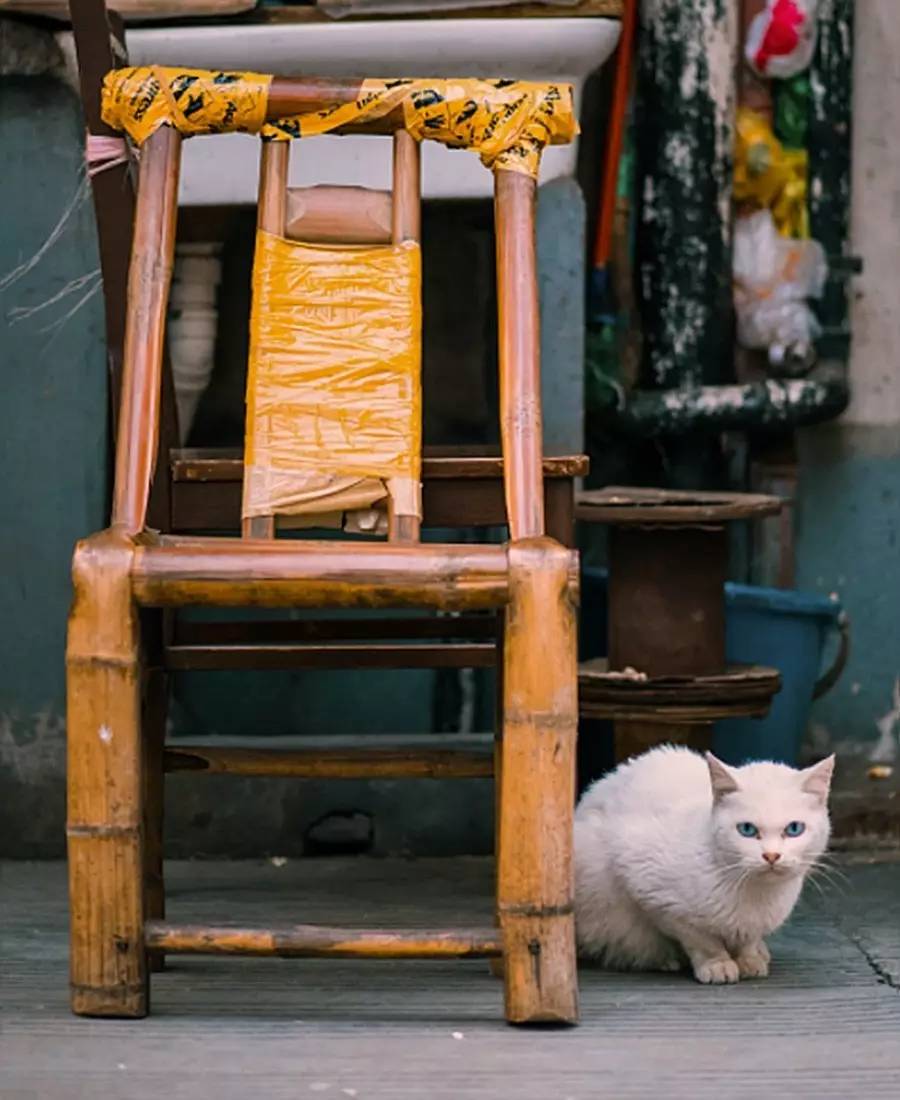 竹制好物，竹編工藝之美！