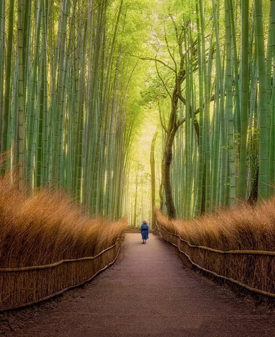 竹制好物，竹編工藝之美！