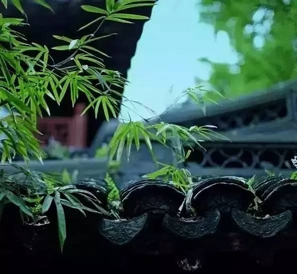 古建筑，一片瓦，遮風(fēng)擋雨