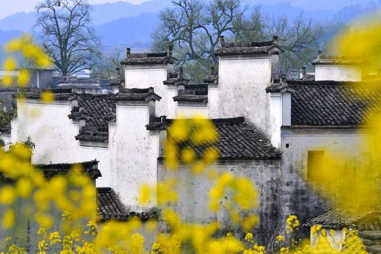 古建筑，一片瓦，遮風(fēng)擋雨