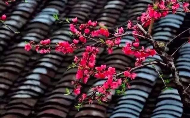 古建筑，一片瓦，遮風(fēng)擋雨