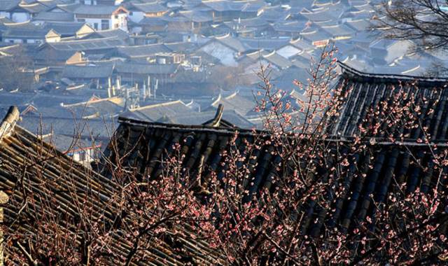 古建筑，一片瓦，遮風擋雨