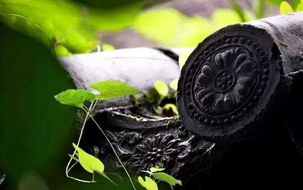 古建筑，一片瓦，遮風擋雨