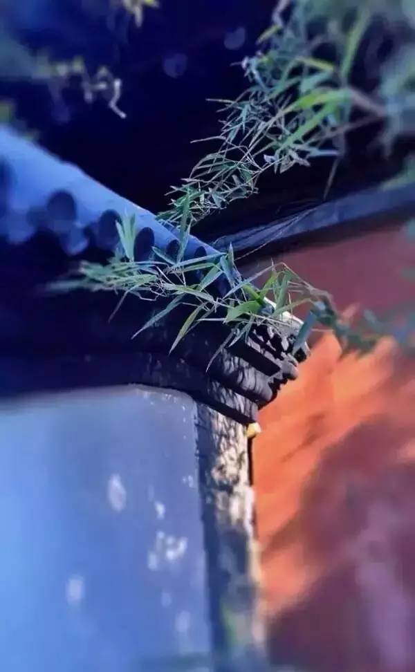 古建筑，一片瓦，遮風(fēng)擋雨