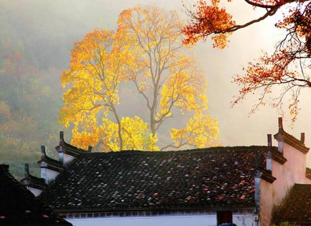 古建筑，一片瓦，遮風(fēng)擋雨