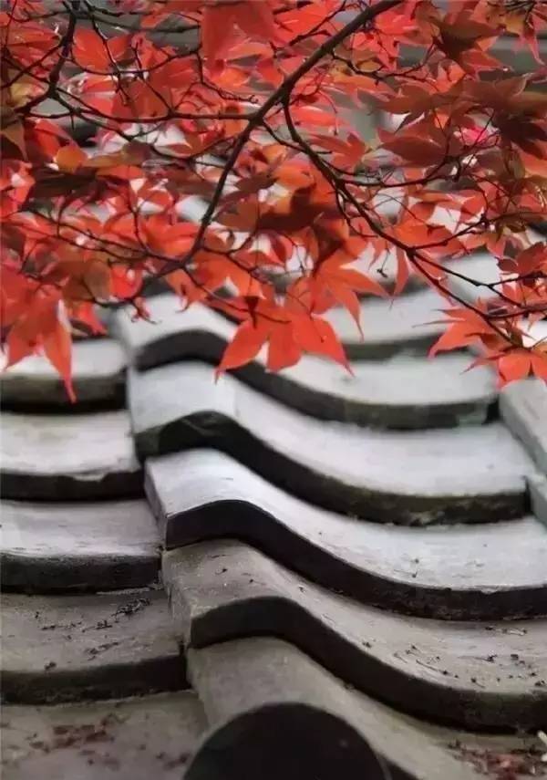 古建筑，一片瓦，遮風(fēng)擋雨