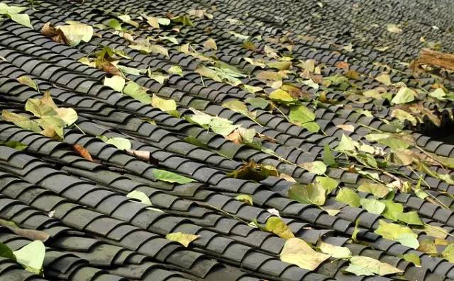 古建筑，一片瓦，遮風(fēng)擋雨