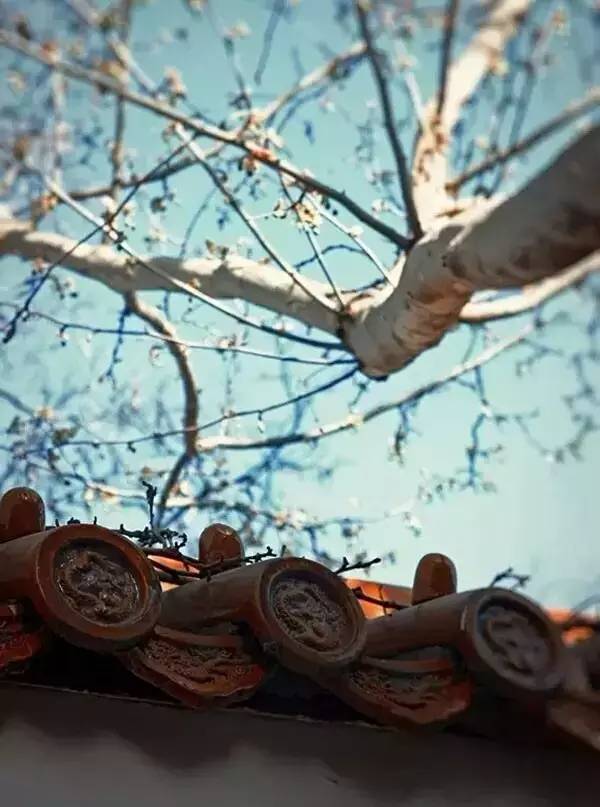 古建筑，一片瓦，遮風(fēng)擋雨