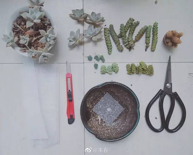 獨(dú)特中國美，最美插畫，膚如凝脂珠圓玉潤(rùn)民國