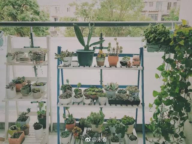 獨(dú)特中國(guó)美，最美插畫(huà)，膚如凝脂珠圓玉潤(rùn)民國(guó)