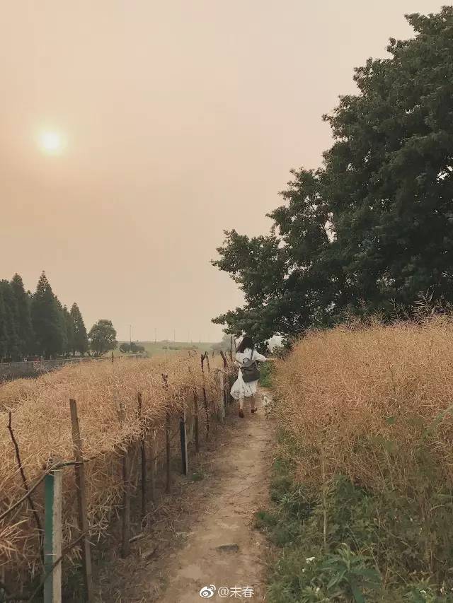 獨(dú)特中國(guó)美，最美插畫(huà)，膚如凝脂珠圓玉潤(rùn)民國(guó)