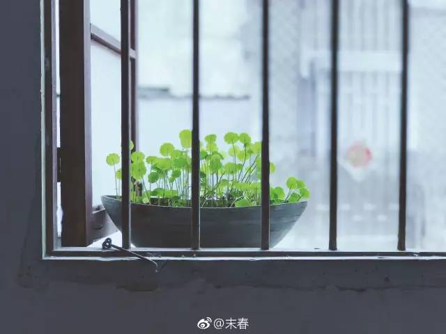 獨(dú)特中國(guó)美，最美插畫(huà)，膚如凝脂珠圓玉潤(rùn)民國(guó)