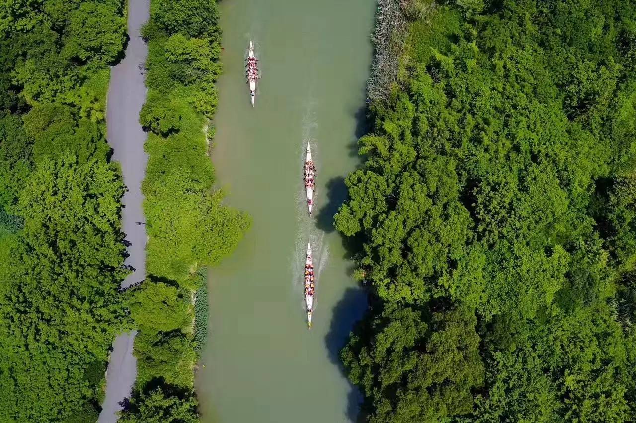 好久不見，西溪濕地范的民宿