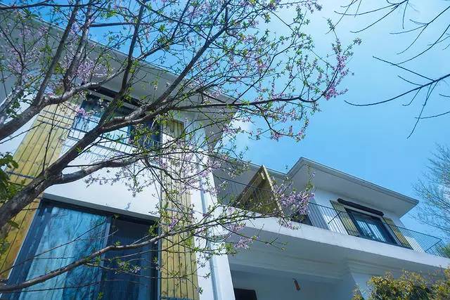 好久不見，西溪濕地范的民宿