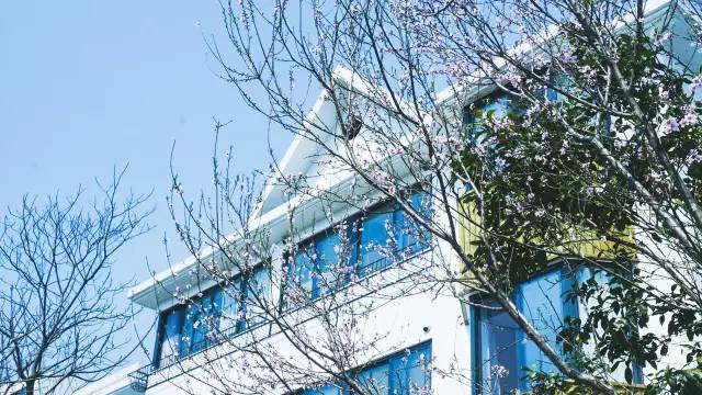 好久不見(jiàn)，西溪濕地范的民宿