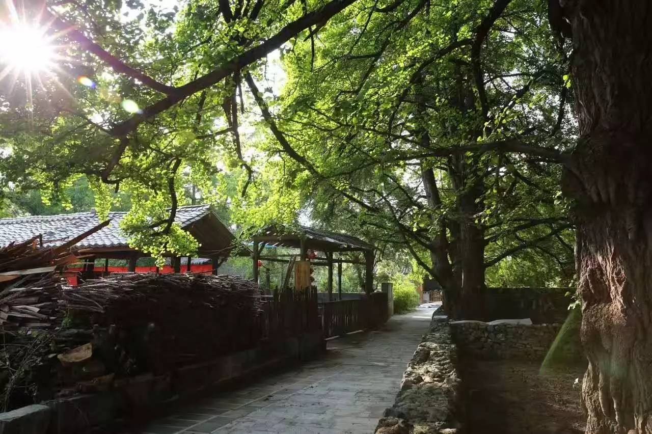 茶馬古道，民宿古宅設(shè)計(jì)改造