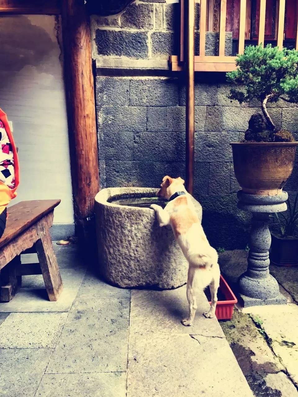 茶馬古道，民宿古宅設(shè)計(jì)改造