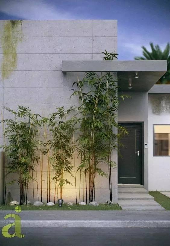 水泥墻樸素寂靜的美，庭院設(shè)計