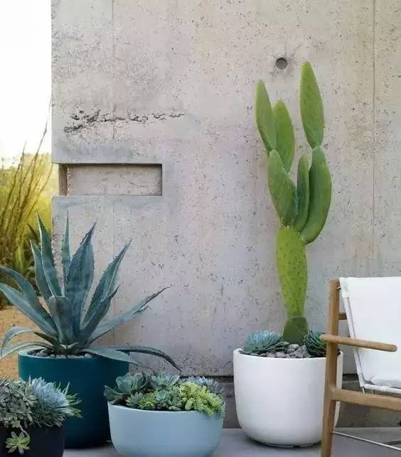 水泥墻樸素寂靜的美，庭院設(shè)計