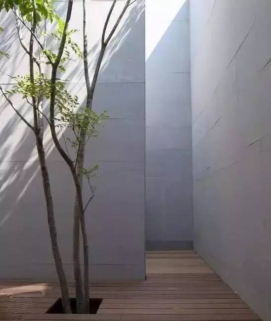 水泥墻樸素寂靜的美，庭院設計