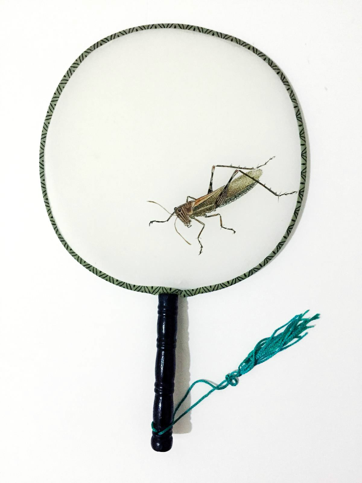 古風(fēng)手繪草蟲(chóng)系列絲綢團(tuán)扇