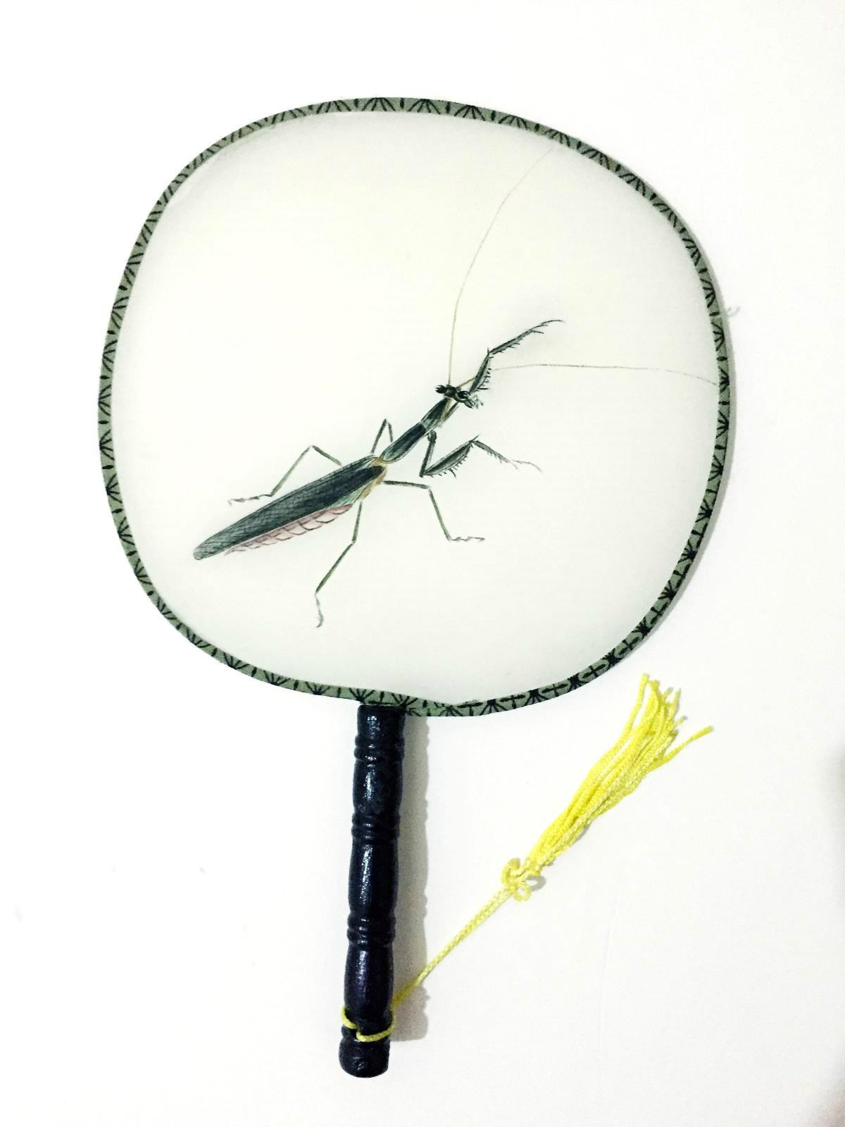 古風(fēng)手繪草蟲(chóng)系列絲綢團(tuán)扇