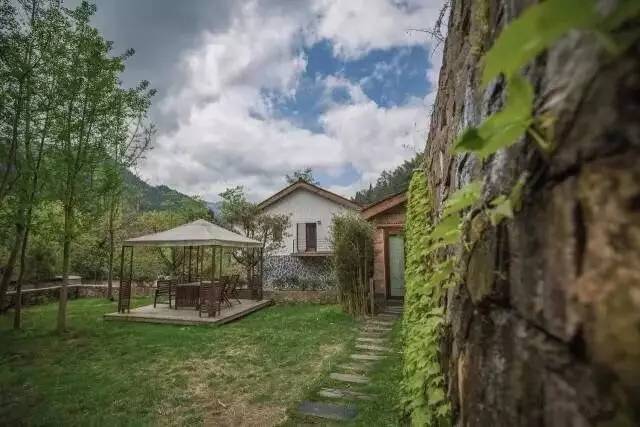 一山九舍 ， 游弋翠竹山林之中