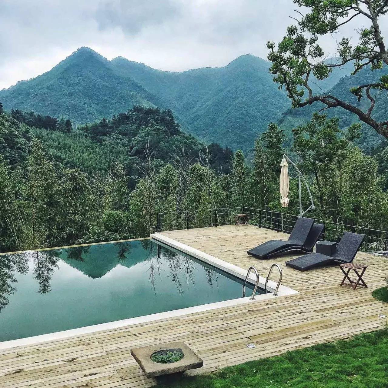 一山九舍 ， 游弋翠竹山林之中