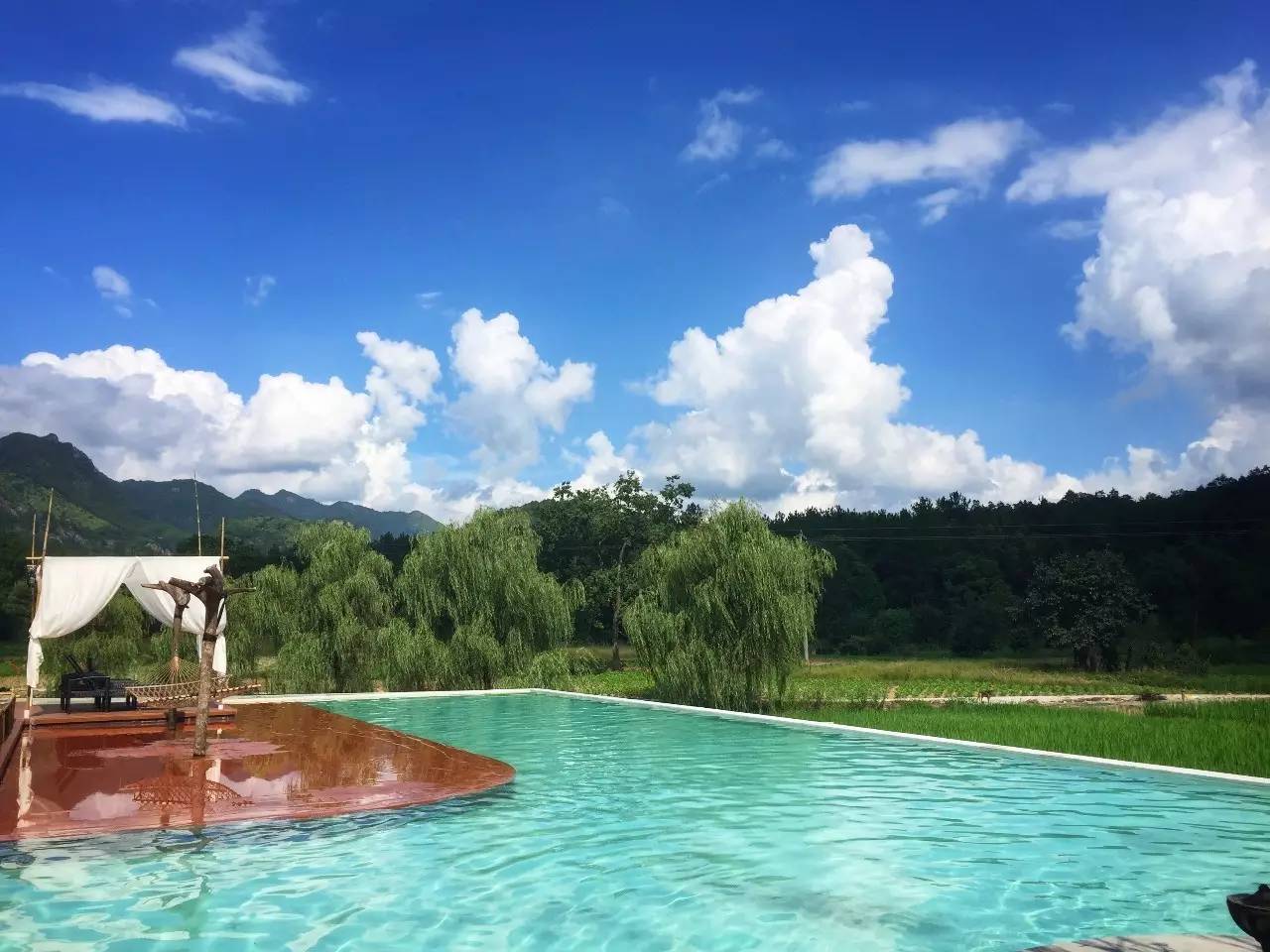 悅庭楠舍 ，兼顧田園風(fēng)光與遠(yuǎn)山樹林