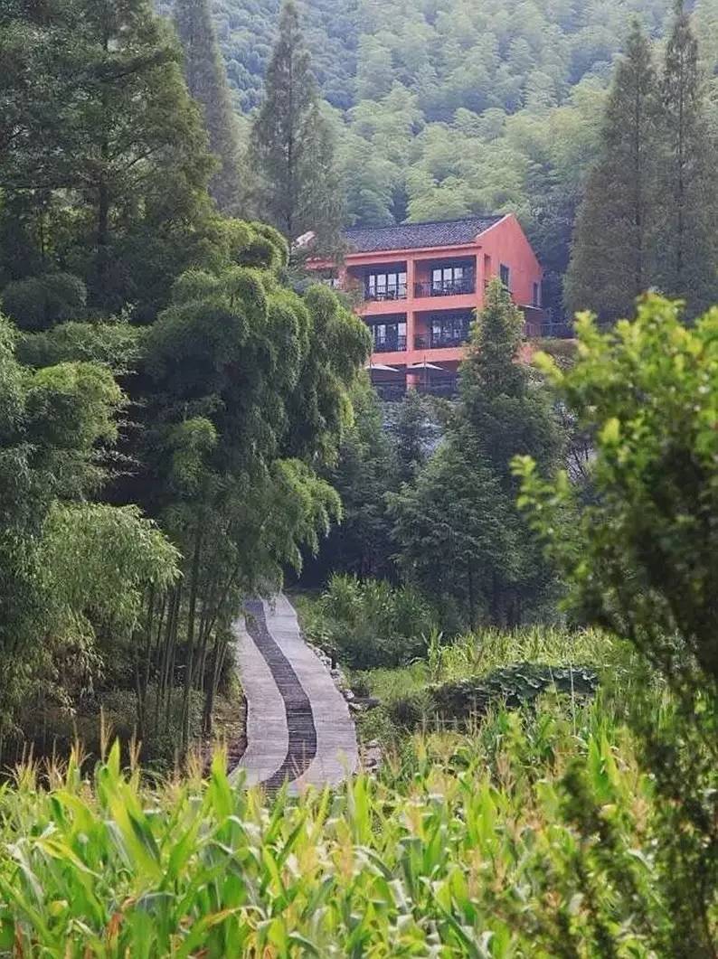 尚坡民宿，坐擁絕佳山景的無(wú)敵泳池