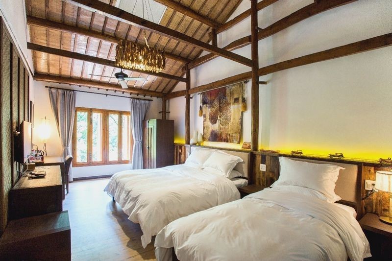 安吉老樹林，600米海拔上的火山泉水池