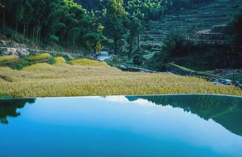 秘境民宿，倒影空寂山谷的一輪明鏡