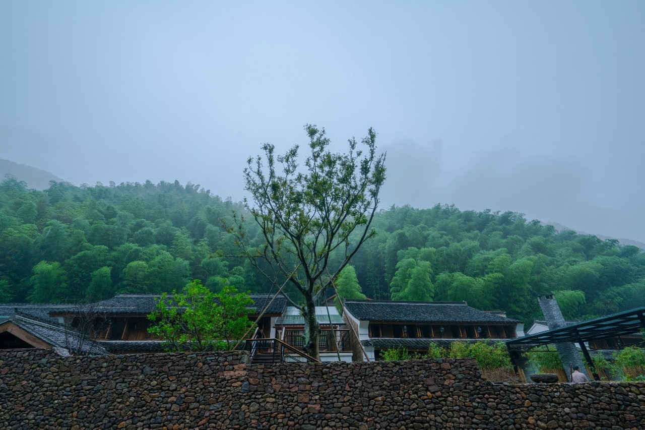 龍觀禪那，靈魂安放之處的民宿