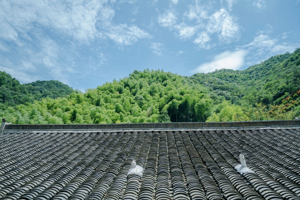 龍觀禪那，靈魂安放之處的民宿