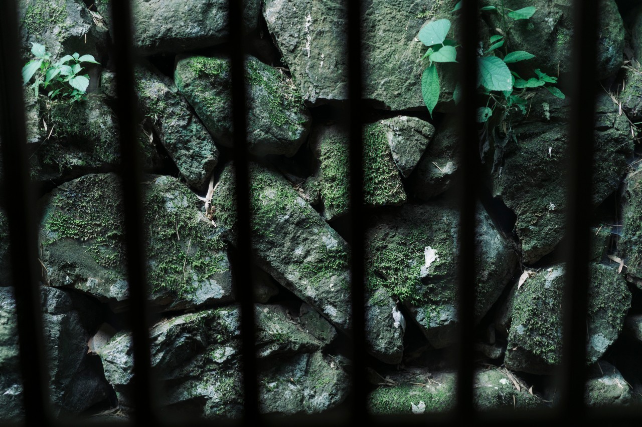 龍觀禪那，靈魂安放之處的民宿