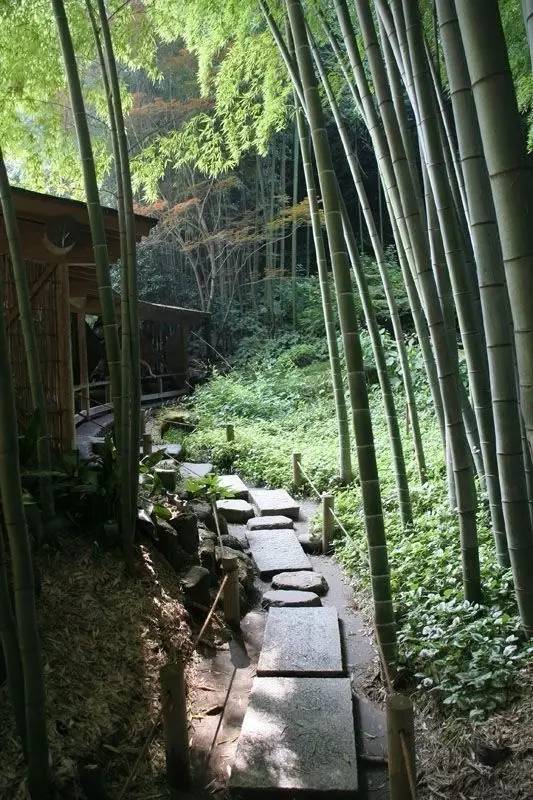 庭院設(shè)計，竹子在庭院中造景的運用