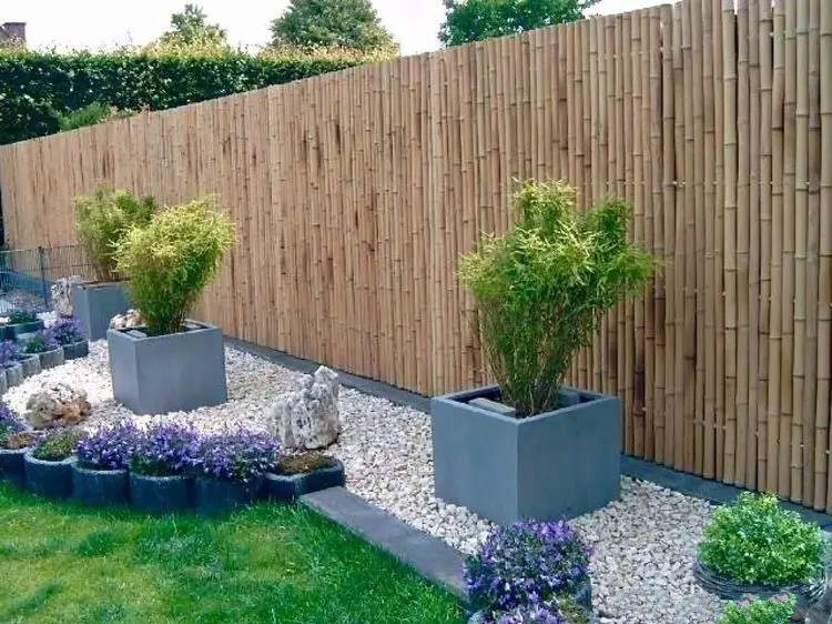 庭院設計，竹子在庭院中造景的運用