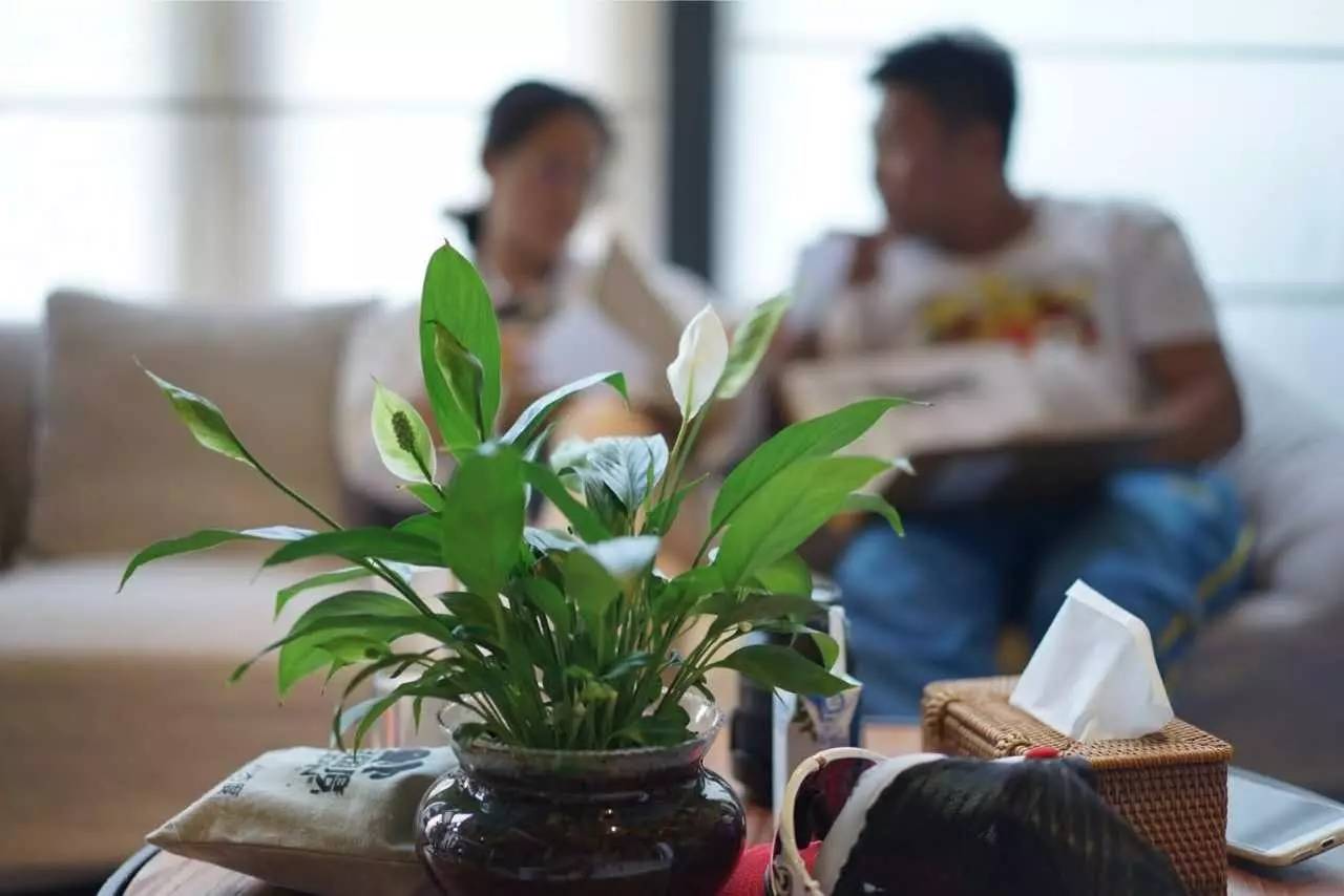 大舍為鄰，北京懷柔民宿設(shè)計(jì)