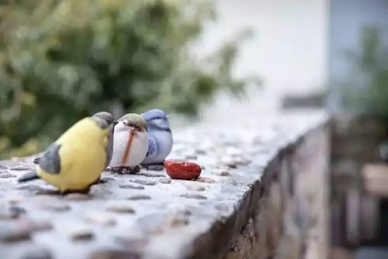 大舍為鄰，北京懷柔民宿設(shè)計(jì)